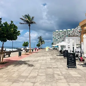 Seaside , Punta Del Hidalgo España